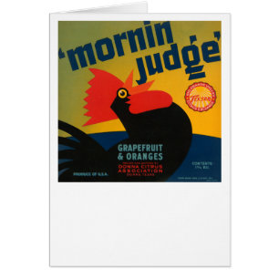 Mornin Judge Grapefruit and Orange