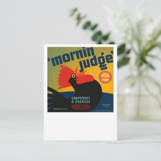 Mornin Judge Grapefruit and Orange Postkarte (Stehend Vorderseite)