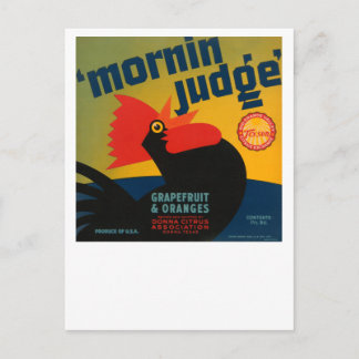 Mornin Judge Grapefruit and Orange Postkarte