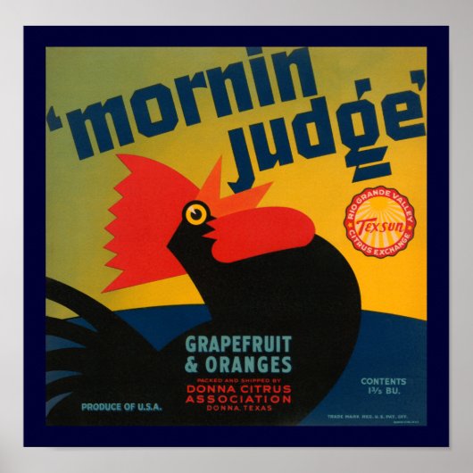 Mornin Judge Poster (Vorne)