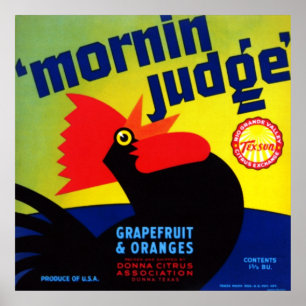 Mornin Richter-Pampelmuse und Orangen Poster
