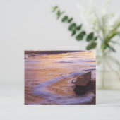 Morning Adrift Postcard Postkarte (Stehend Vorderseite)