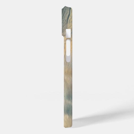 Morning Beach Seagulls Case-Mate iPhone Hülle (Rückseite / Links)