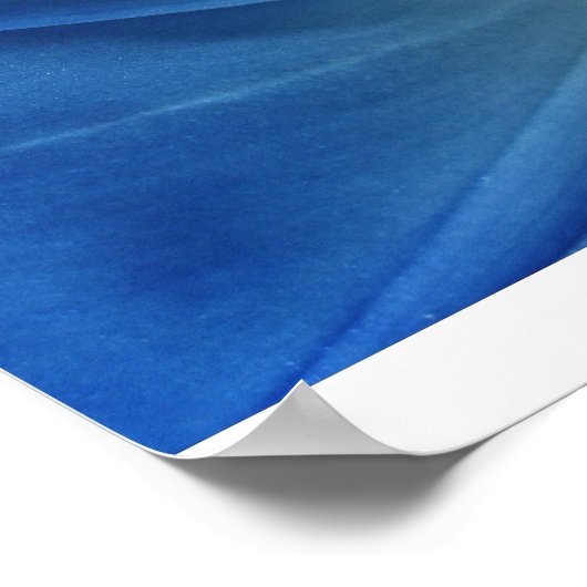 Morning Bloom Poster (Ecke)