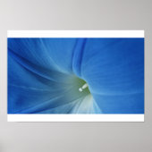 Morning Bloom Poster (Vorne)