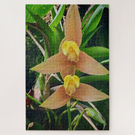 Morning Calm: Blush Petals in Gentle Focus Puzzle