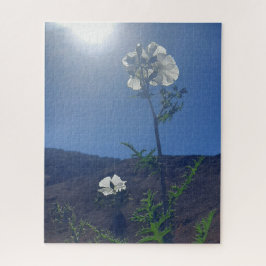 Morning Calm: Cream Blossom in Translucent Light Puzzle