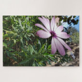Morning Calm: Pale Pink Flower with Soft Petals Puzzle (Horizontal)