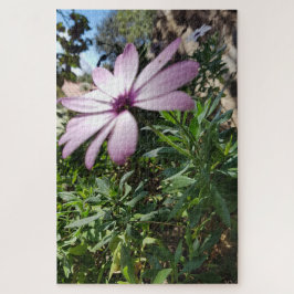 Morning Calm: Pale Pink Flower with Soft Petals Puzzle