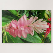 Morning Calm: Pale Pink Ginger Flower Soft Petals Puzzle (Horizontal)