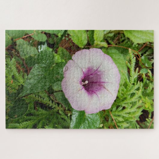 Morning Calm: Soft Dew Dropped Pink Petals Puzzle (Horizontal)