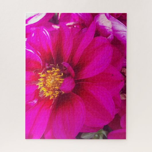 Morning Calm: Soft Pink Daisy with Golden Center Puzzle (Vertikal)