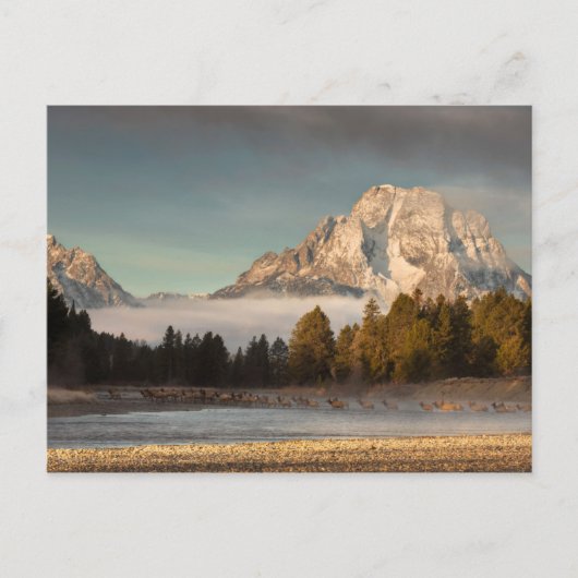 Morning Commute Postkarte (Vorderseite)