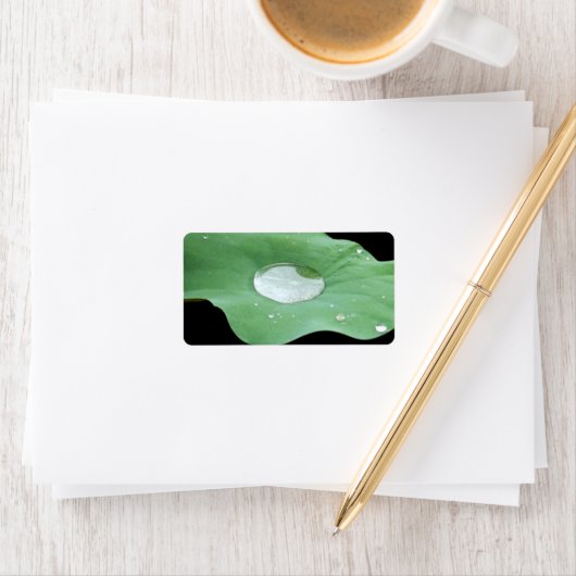 Morning Dew auf Lilypad Adressaufkleber (Insitu)