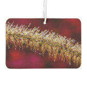 Morning Dew Autolufterfrischer (Rückseite)