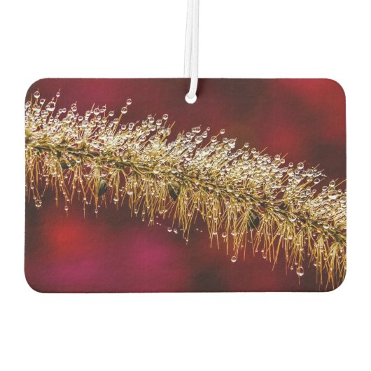 Morning Dew Autolufterfrischer (Rückseite)