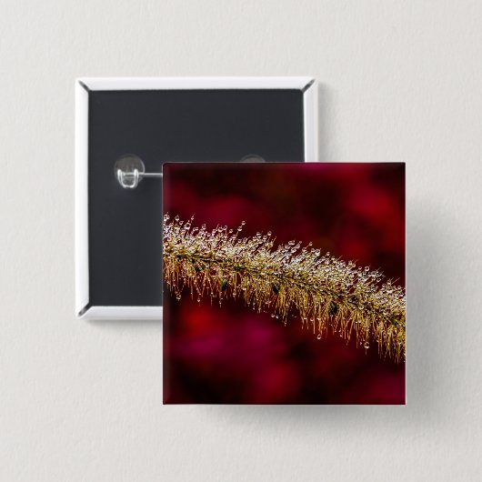 Morning Dew Button (Vorne & Hinten)