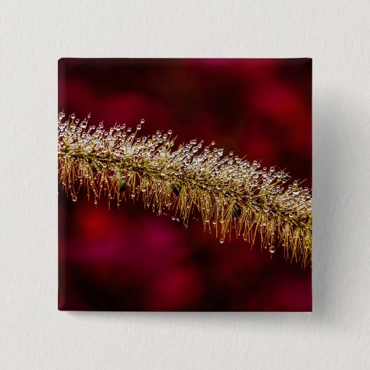 Morning Dew Button (Vorderseite)