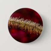 Morning Dew Button (Vorderseite)