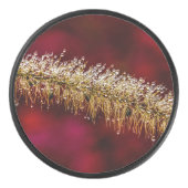 Morning Dew Eishockey Puck (Vorderseite)