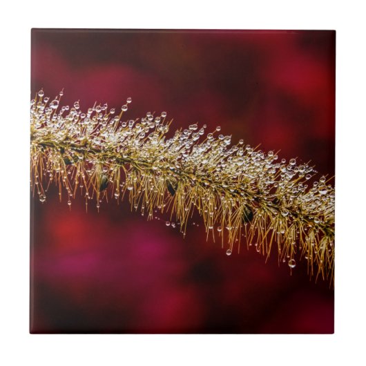 Morning Dew Fliese (Vorderseite)