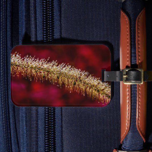 Morning Dew Gepäckanhänger (Vorderseite Insitu 4)