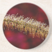 Morning Dew Getränkeuntersetzer (Vorne)