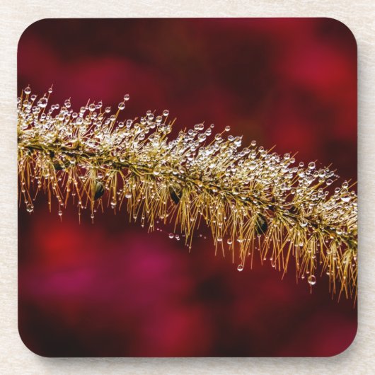 Morning Dew Getränkeuntersetzer (Vorderseite)