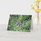 Morning Dew Karte (Gelbe Blume)