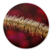 Morning Dew Keramikknauf (Vorderseite)