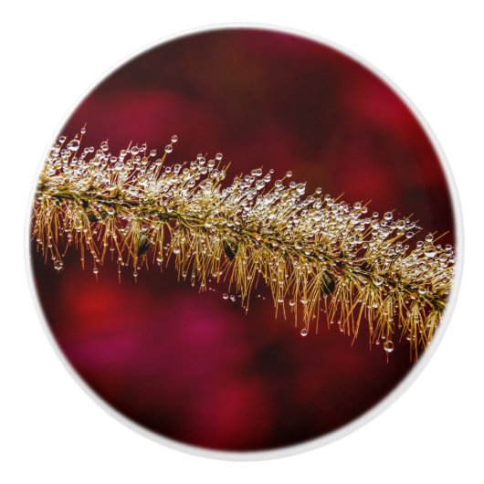 Morning Dew Keramikknauf (Vorderseite)