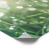 Morning Dew Ladybug: Der winzige Wanderer der Natu Poster (Ecke)