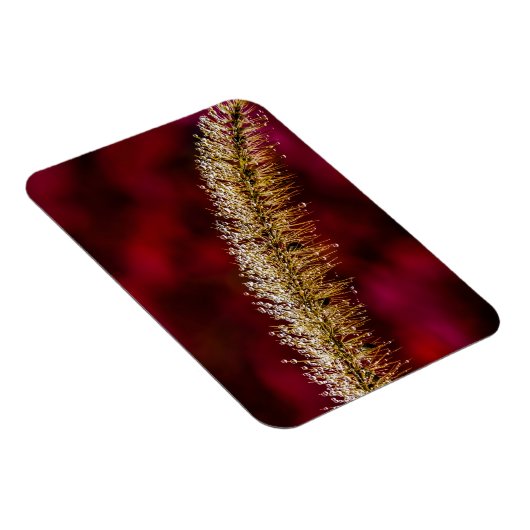 Morning Dew Magnet (Rechte Seite)