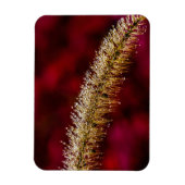 Morning Dew Magnet (Vertikal)