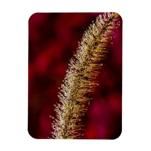 Morning Dew Magnet (Vertikal)