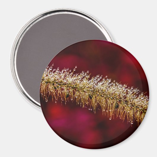 Morning Dew Magnet (Vorderseite/Rückseite)