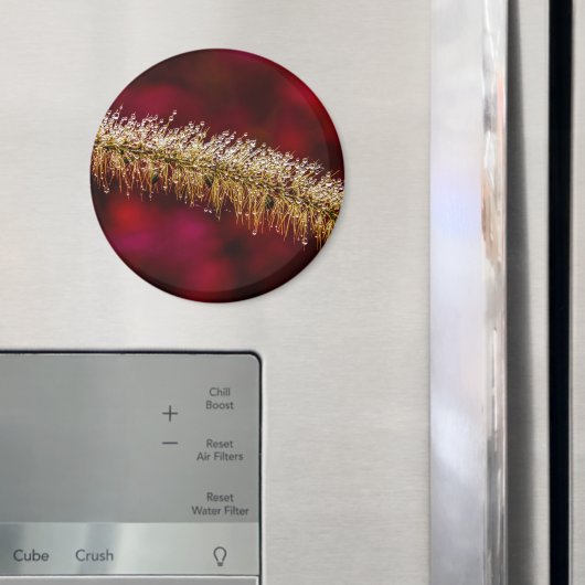 Morning Dew Magnet (In Situ (Kühlschrank))