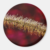 Morning Dew Magnet (Vorne)