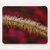 Morning Dew Mousepad (Vorne)