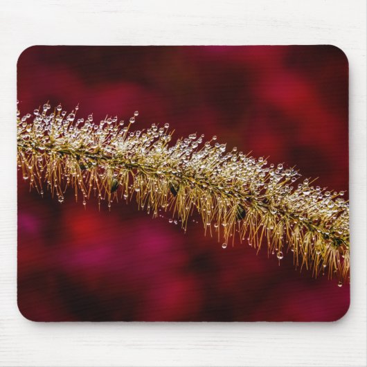 Morning Dew Mousepad (Vorne)