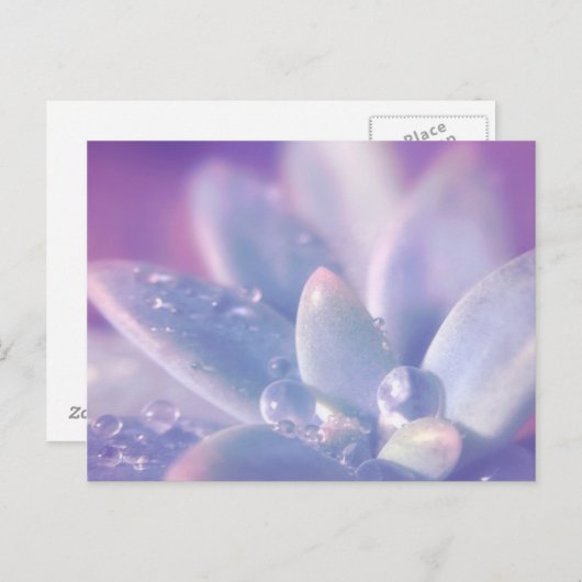 Morning Dew on Luthor Postkarte (Vorne/Hinten)