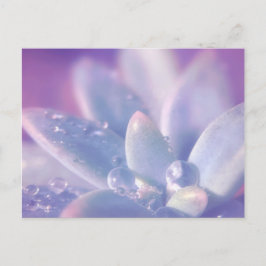 Morning Dew on Luthor Postkarte