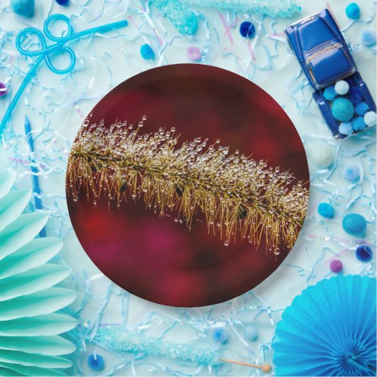 Morning Dew Pappteller (Party)