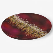 Morning Dew Pappteller (Schrägansicht)