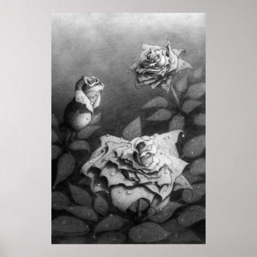 Morning Dew Poster (Vorne)