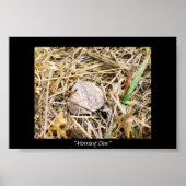 Morning Dew Poster (Vorne)