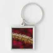 Morning Dew Schlüsselanhänger (Vorne)