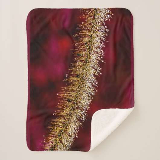 Morning Dew Sherpadecke (Vorderseite)