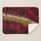 Morning Dew Sherpadecke (Vorderseite (Horizontal))