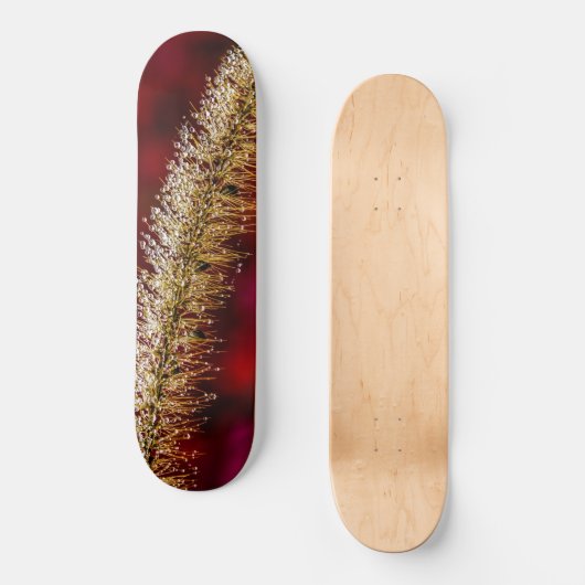 Morning Dew Skateboard (Vorderseite)
